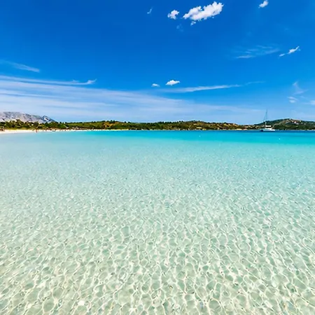 Costa Blue * Agrustos